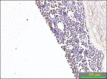 Fig.4
