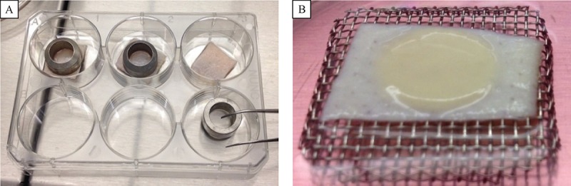 Fig.1