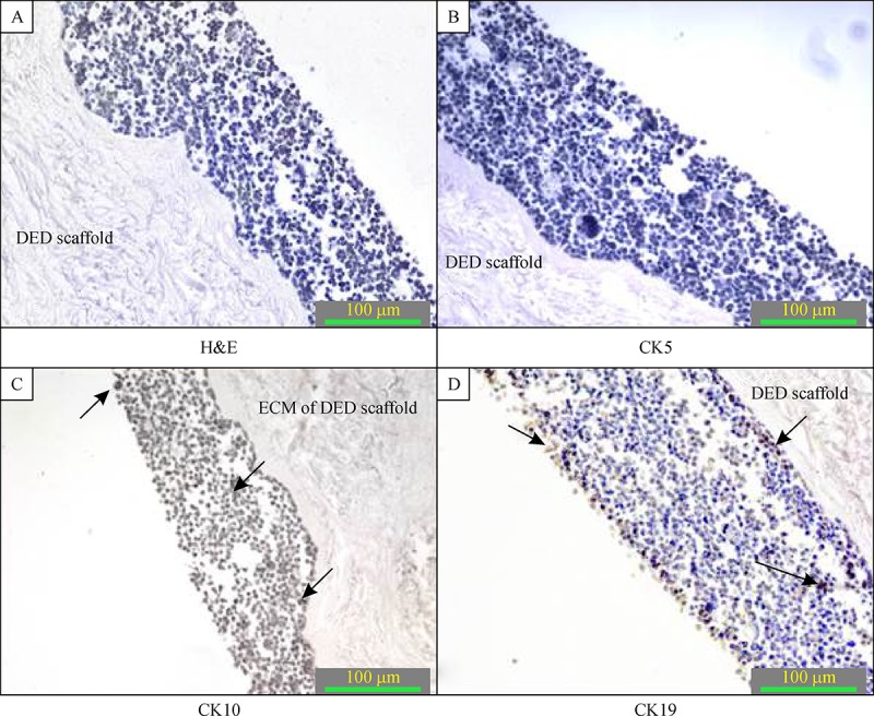 Fig.3