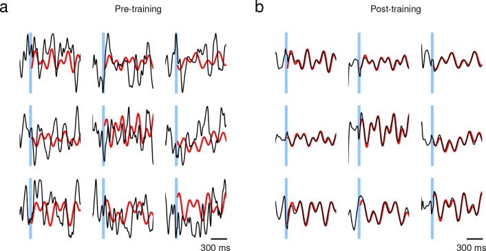 Figure 1—figure supplement 1.