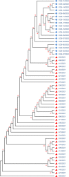 Fig 13