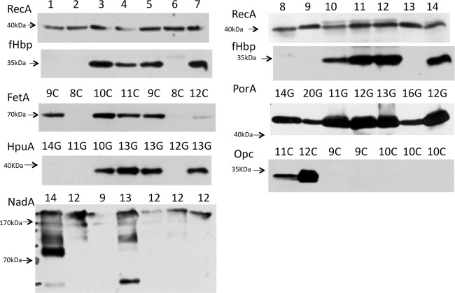 FIG 3