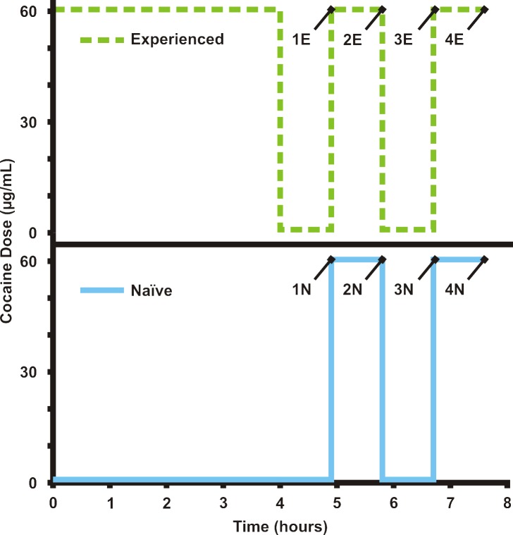 Fig 2