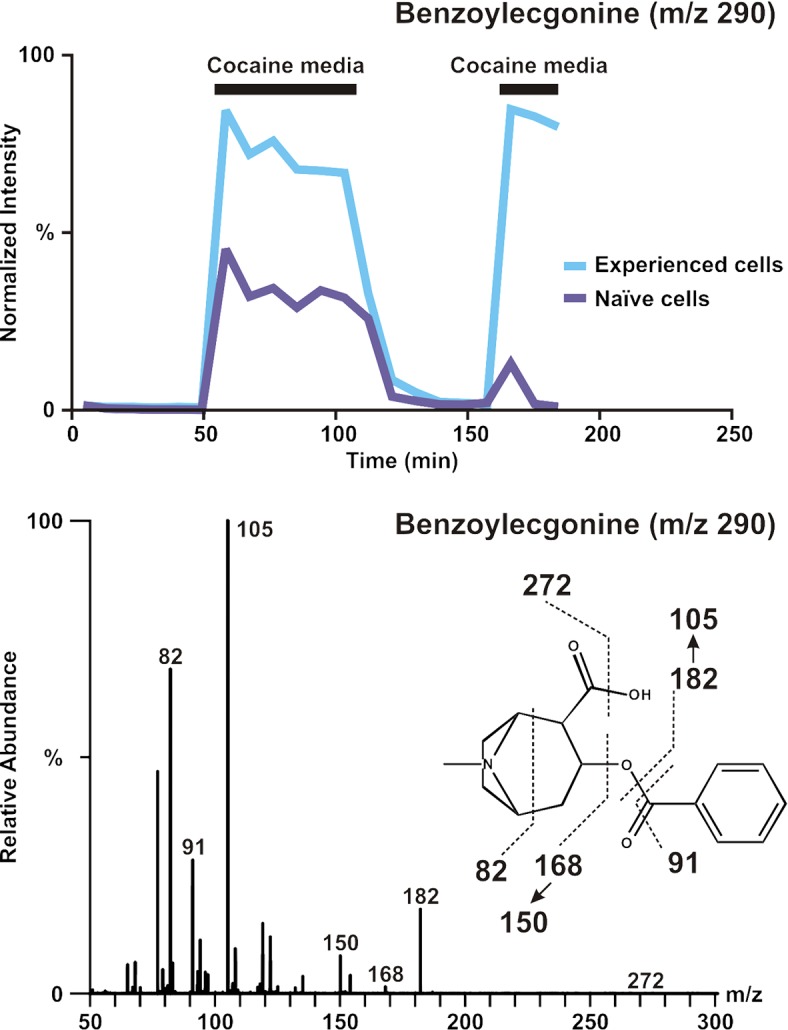 Fig 6