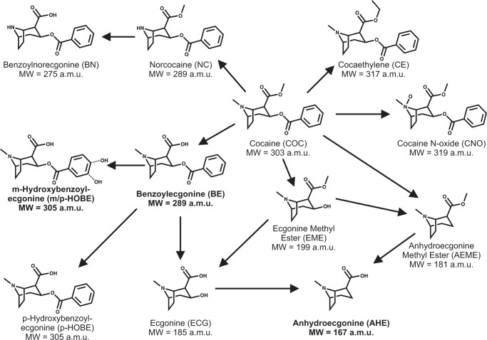 Fig 7