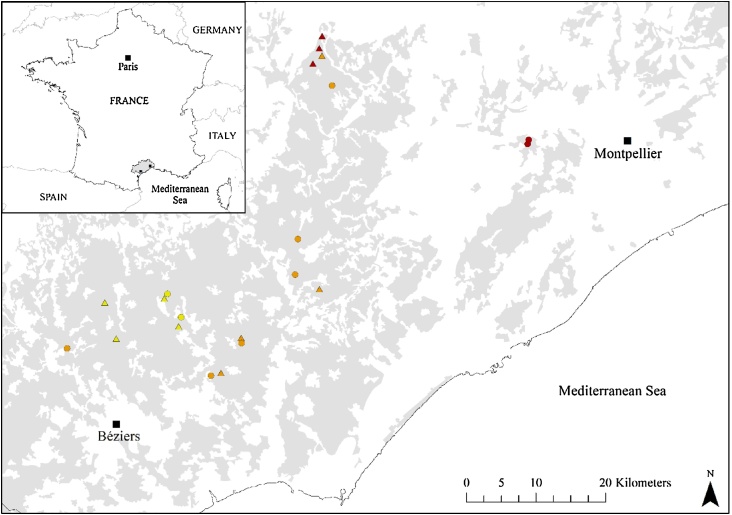 Fig. 1