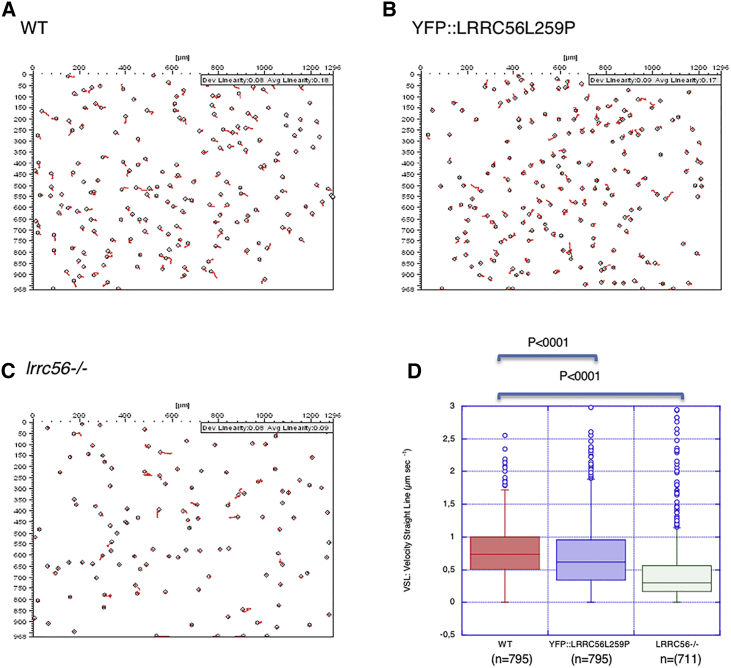 Figure 3