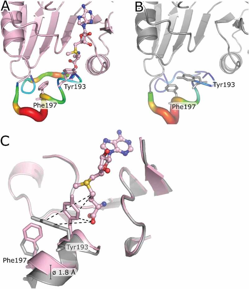 Figure 4.