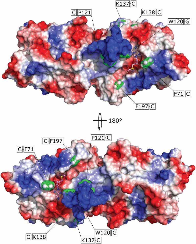 Figure 6.