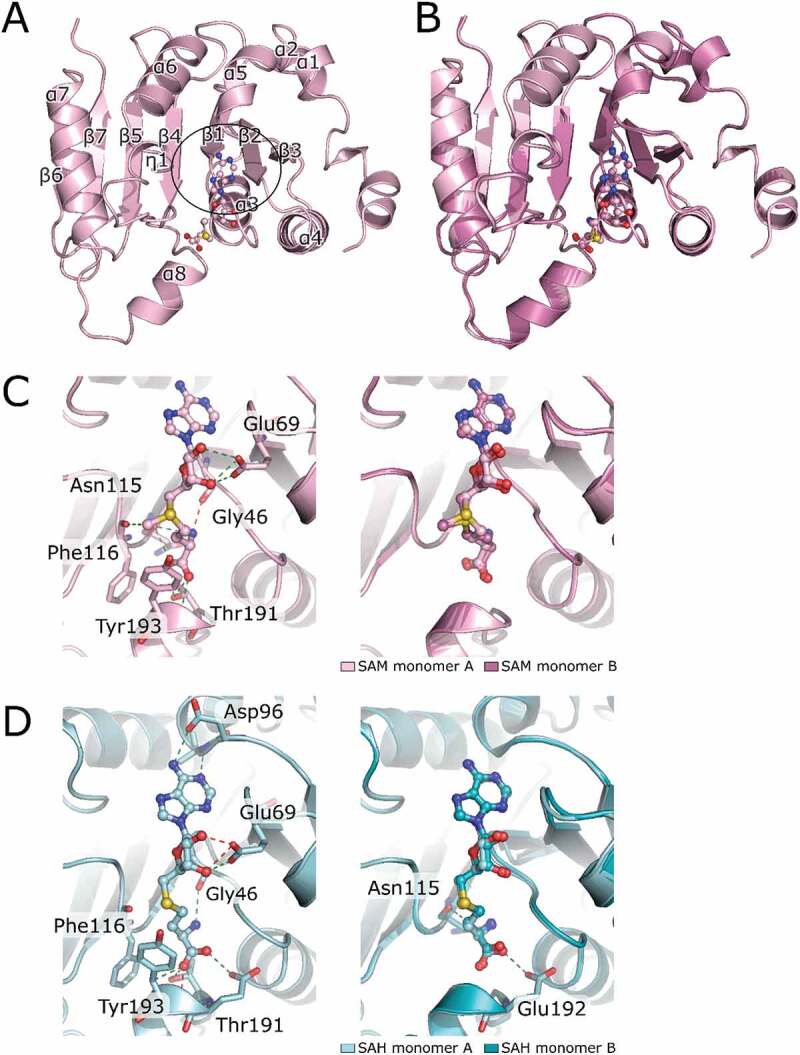 Figure 3.