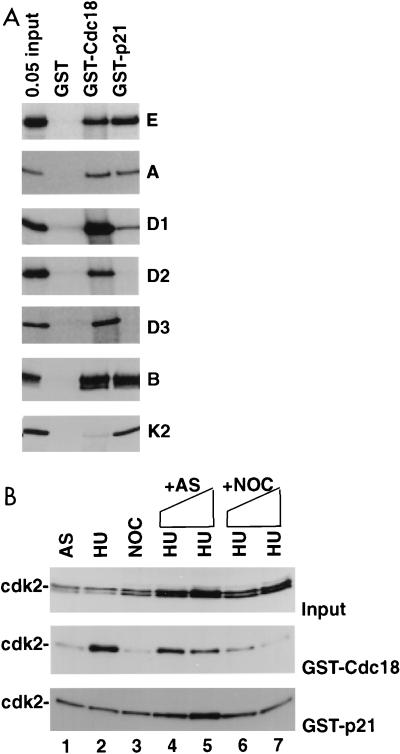 FIG. 5