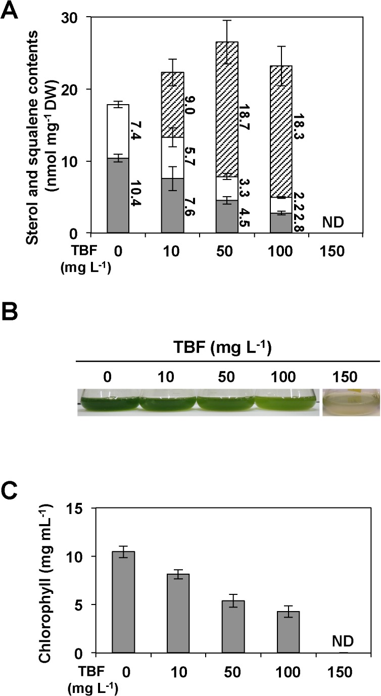 Fig 5