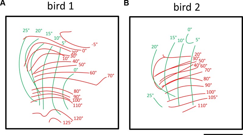 Fig 5