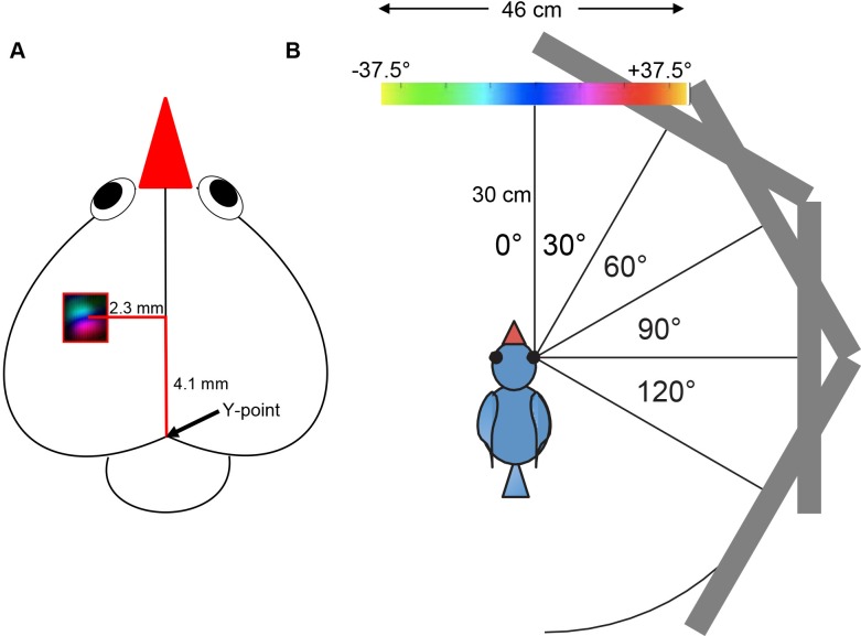 Fig 1