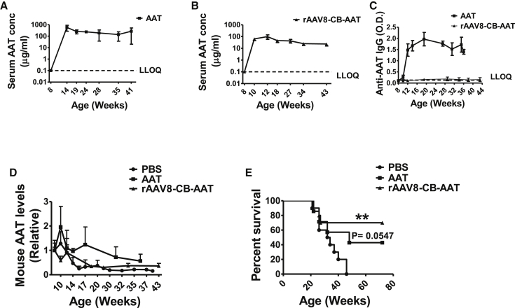 Figure 6