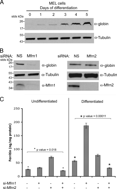 FIG. 4.