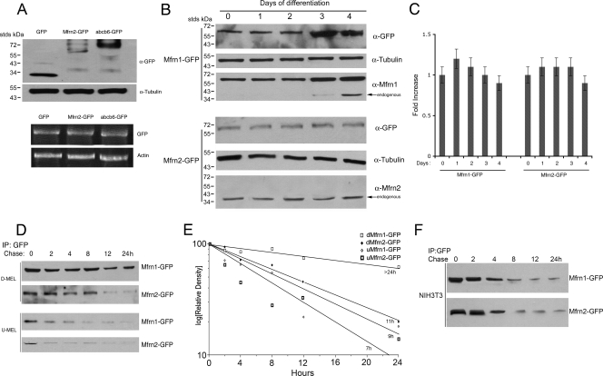 FIG. 8.