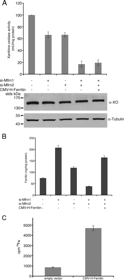 FIG. 5.