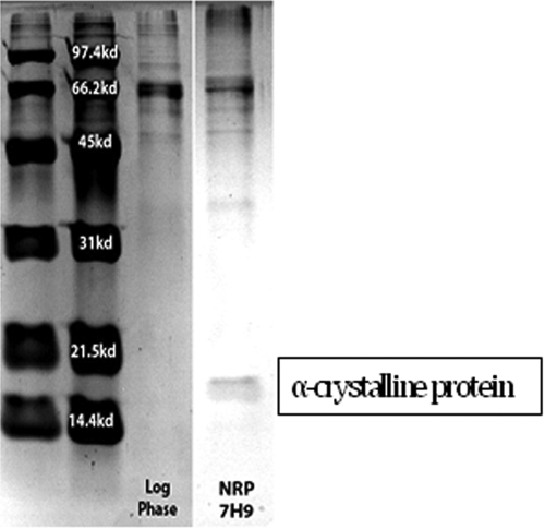 FIG 5 