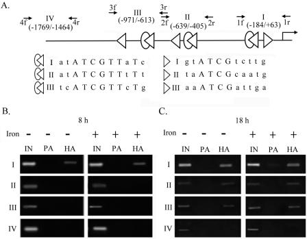 FIG. 7.