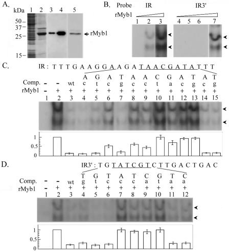 FIG. 4.