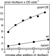 FIG. 1.