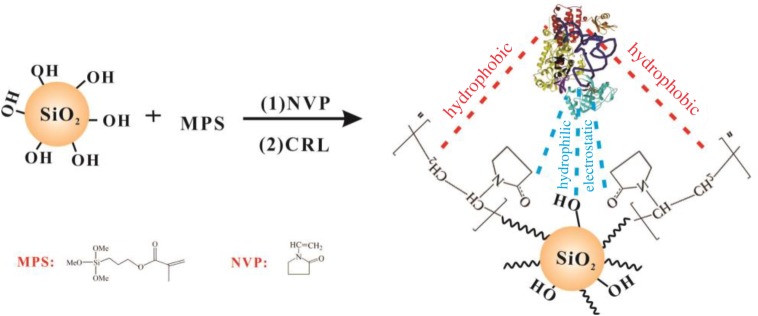 Figure 1.