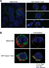 Figure 6