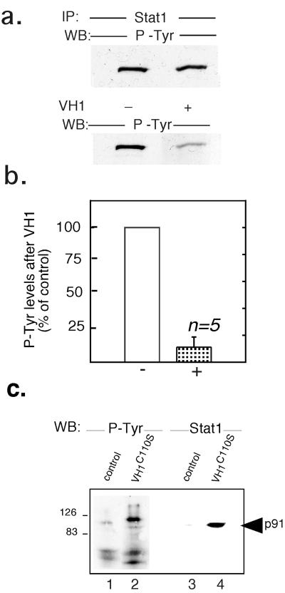 FIG. 6