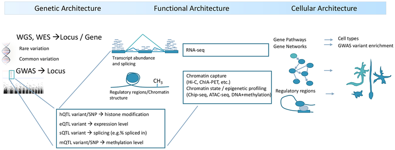 Figure 4: