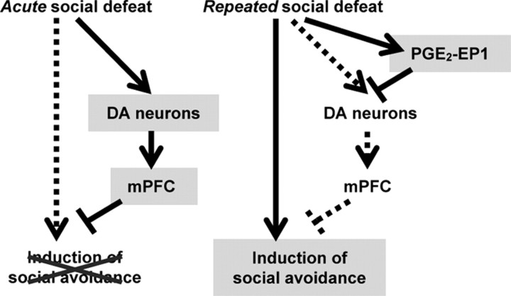 Figure 10.