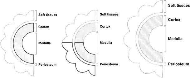 Fig. 3