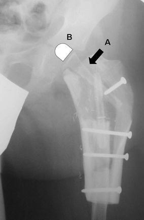 Fig. 8