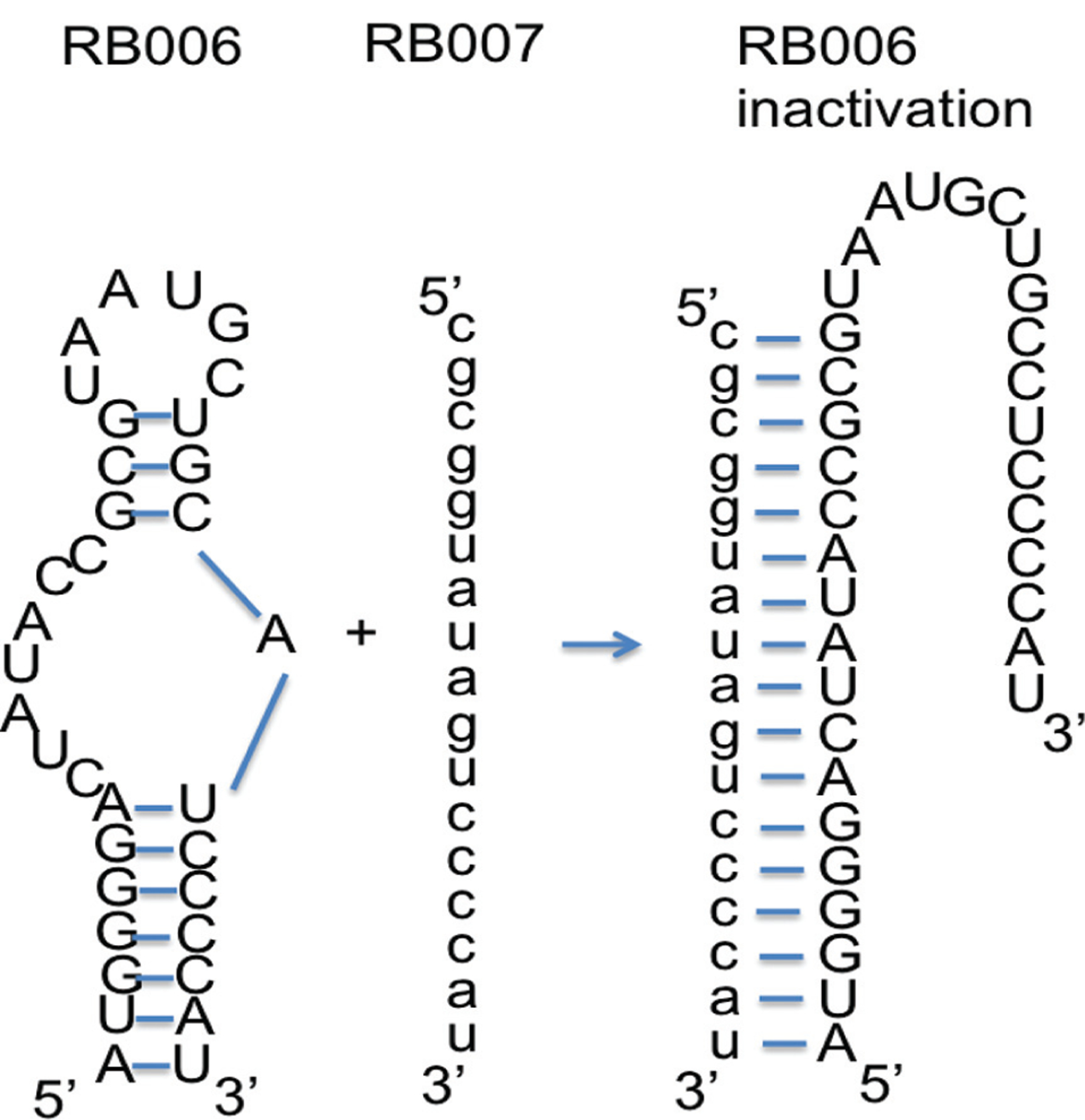 Fig. (4).