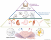 Graphical Abstract