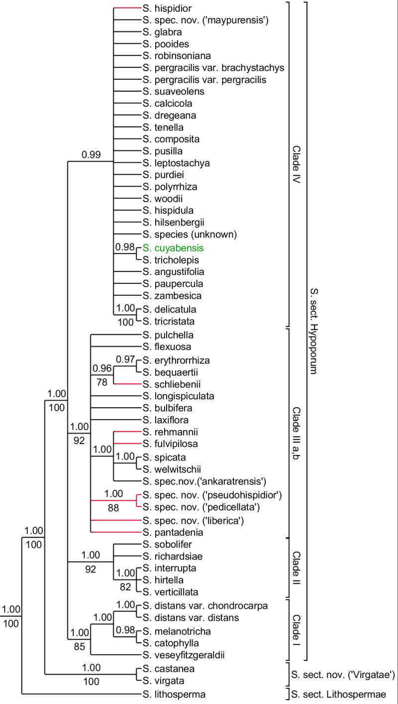 Fig 3