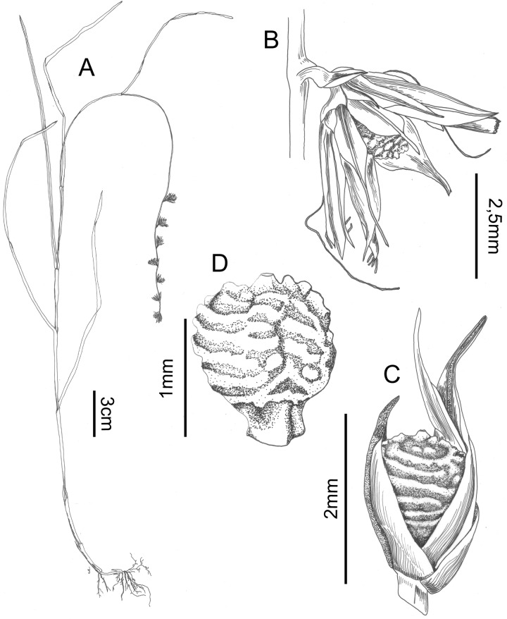 Fig 11