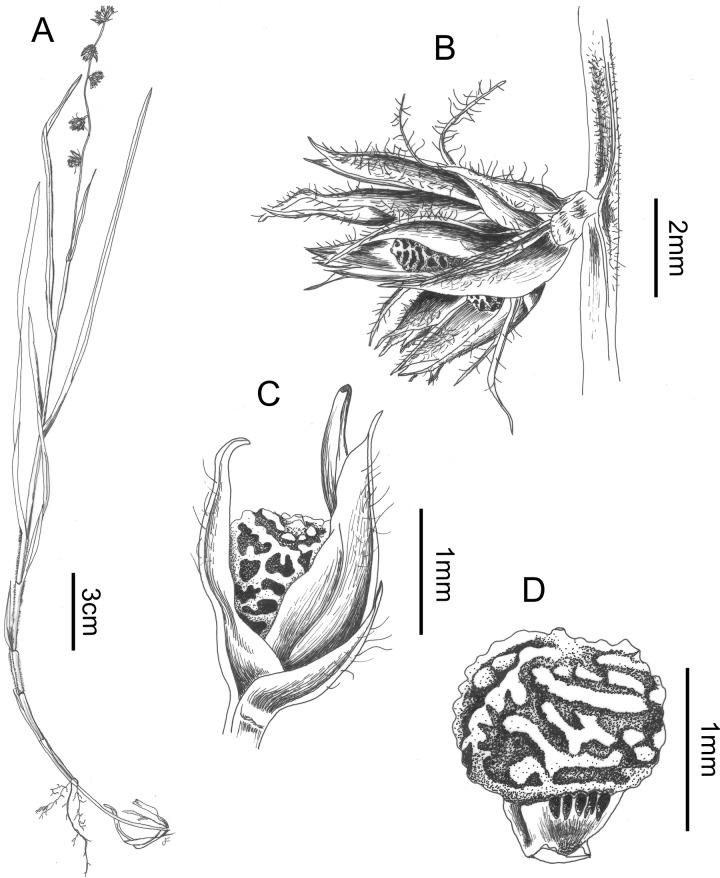 Fig 9