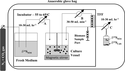 FIG. 1.