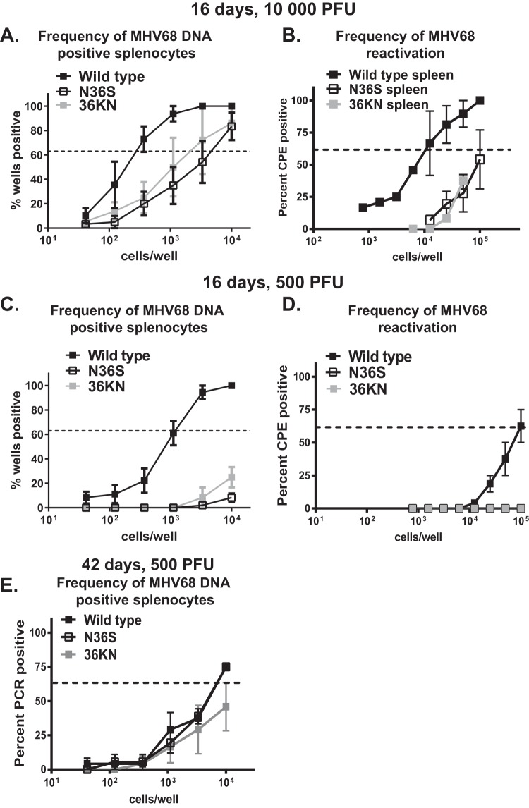 FIG 1