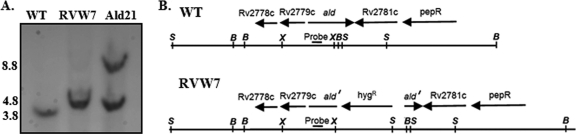 Fig 2