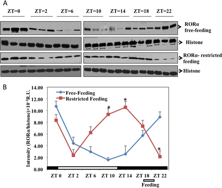 FIGURE 4.