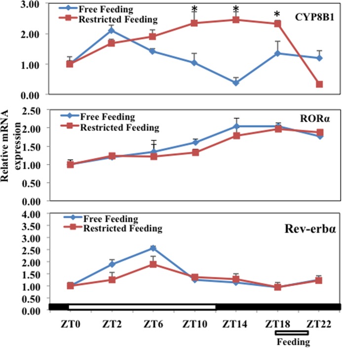 FIGURE 3.