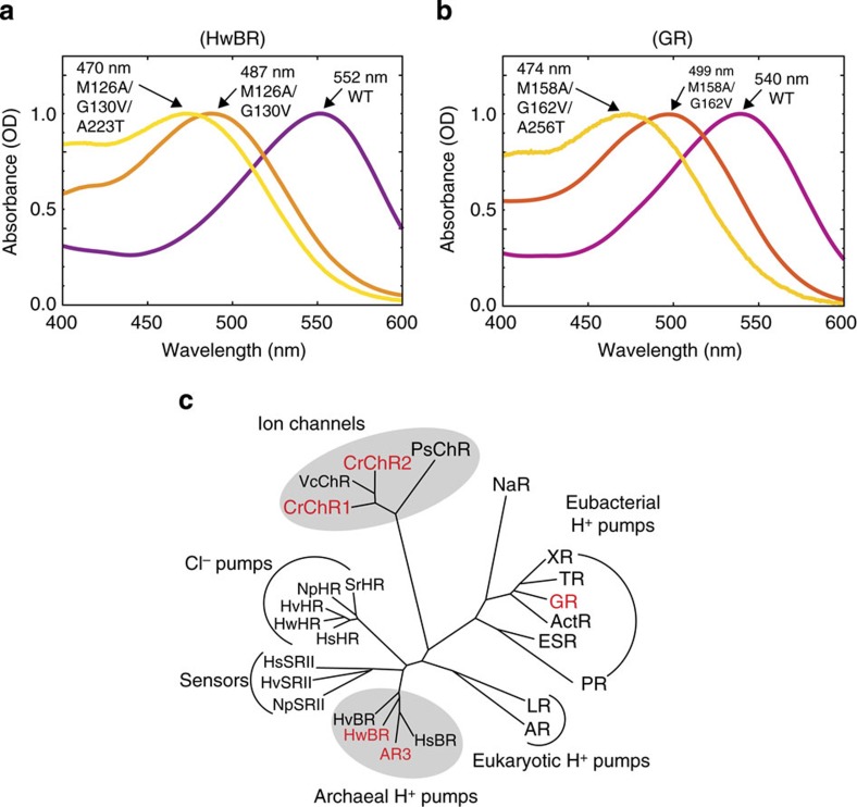 Figure 6