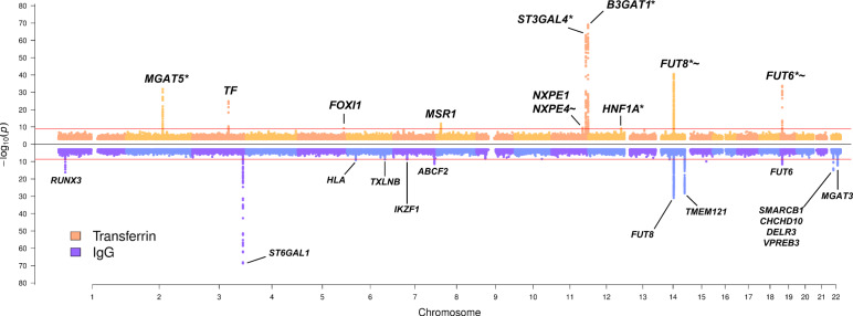 Fig. 1