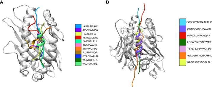 Figure 2