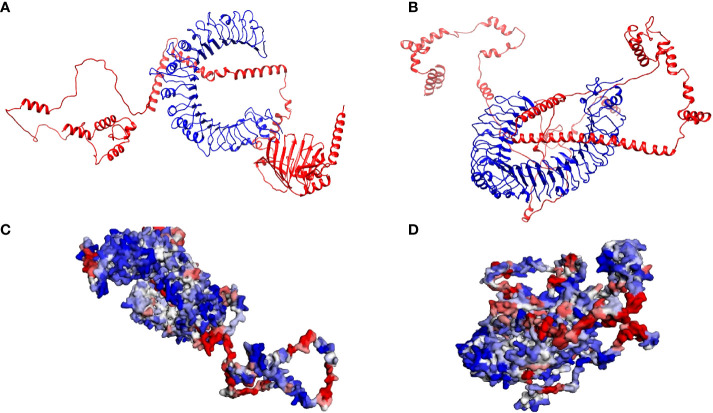 Figure 5