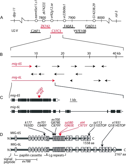 Figure 2.—