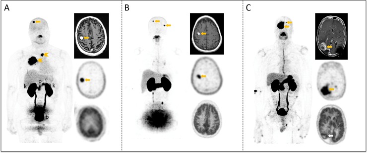 Fig 5