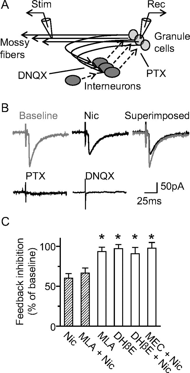 Figure 9.